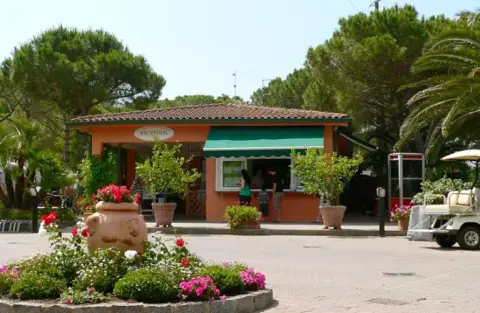Ville degli Ulivi