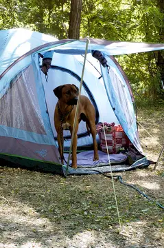 Camping Emaieu