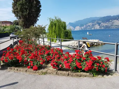 Camping Campagnola