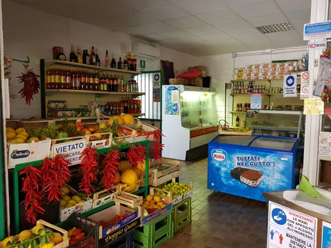 Campeggio internazionale Cirella