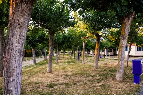 Camping Vacanze Santo Stefano