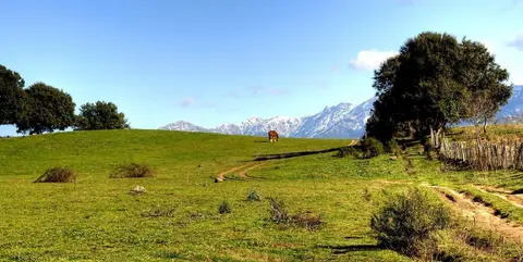 SAVAGGIO-CAMP