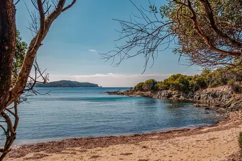 Flower Campings Camping Corse Torraccia