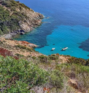 Flower Campings Camping Corse Torraccia