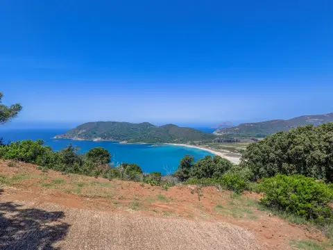 Flower Campings Camping Corse Torraccia