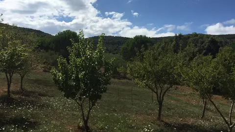 Agricamping Giro di Boa
