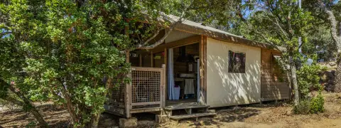 Le Damier