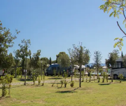 Agricampeggio Ippocampo