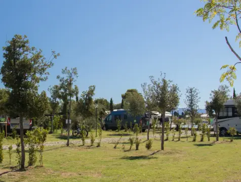 Agricampeggio Ippocampo