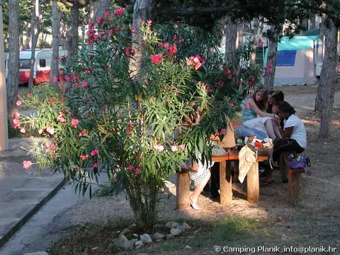 Camping Planik
