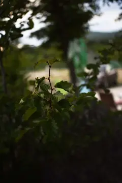 Autocamp Biokovo