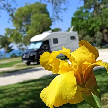 Camp Viter