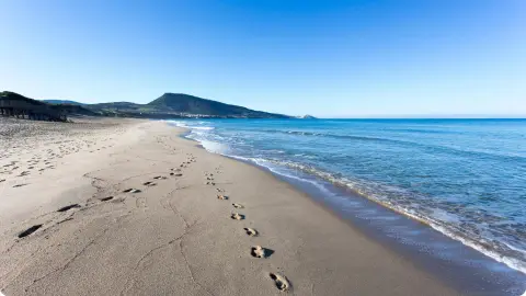 Baia Paradiso