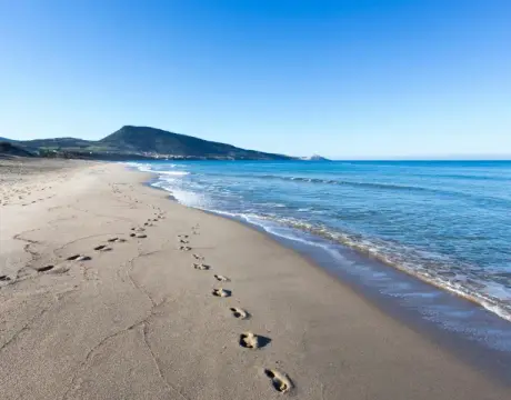 Baia Paradiso