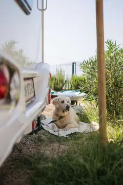 Camping Lavanda