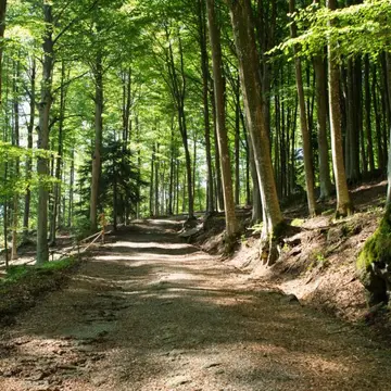 La Buca Vecchia