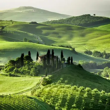 La Buca Vecchia