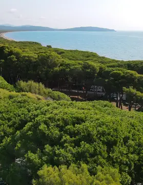 Camping Feniglia