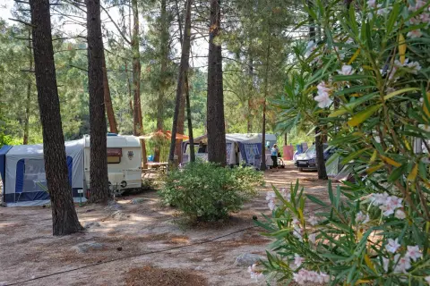 Camping Mulinacciu