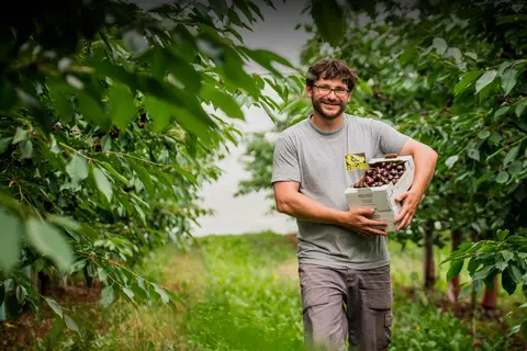 Agricampeggio L'albero delle mele