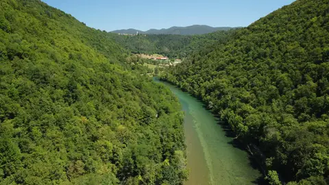 Kamp Muhvič