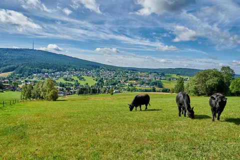 Wohnmobilstellplatz Erbendorf
