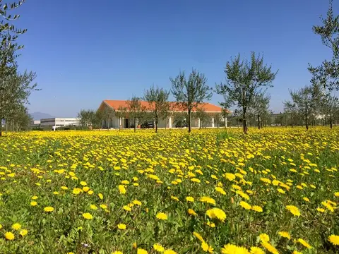 Il Giogo agricampeggio