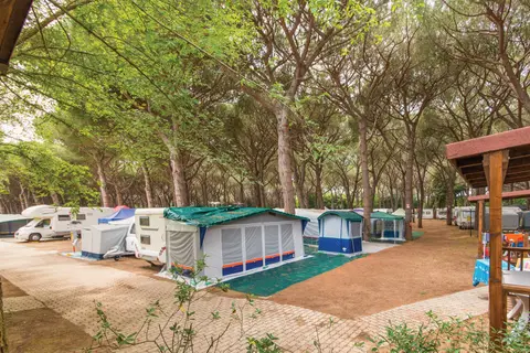 Camping Hawai