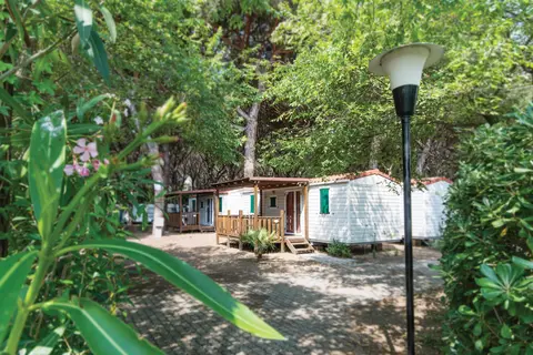 Camping Hawai