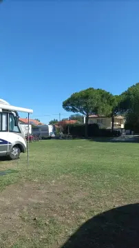 Il Pellegrino
