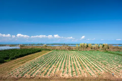 Agricampeggio da Scarpa