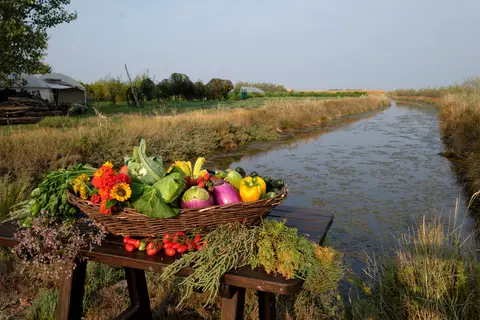 Agricampeggio da Scarpa