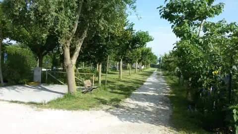 Agricampeggio da Scarpa