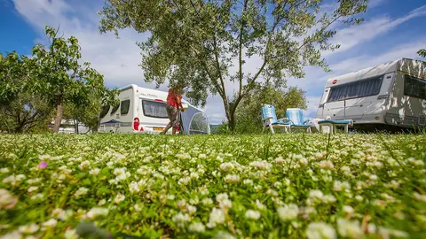 Camping Bor