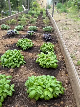 Le Piane Agriglamping