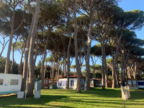 Bocca di Cecina