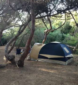 Camping Is Arenas