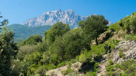 Camping Cabanella
