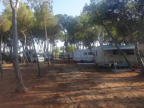 Agricampeggio La Pineta