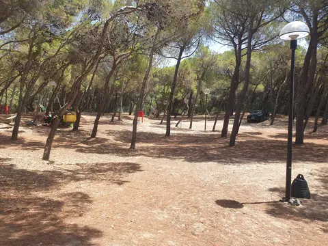 Agricampeggio La Pineta