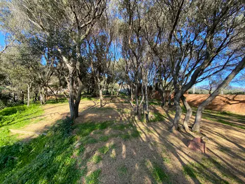 Le Mandriale - Camping a la Ferme