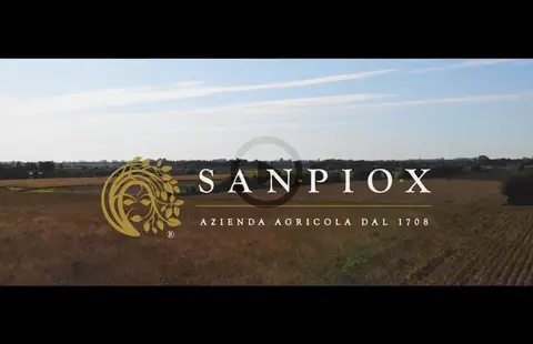 Agricampeggio SanPio X