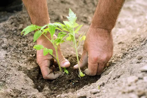 Agricampeggio SanPio X