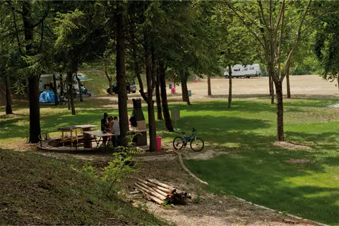 Il Cinisco