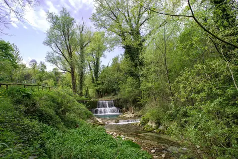 Il Cinisco