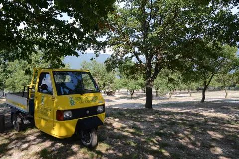 Tenuta Il Guerriero - Agricampeggio Capestrano