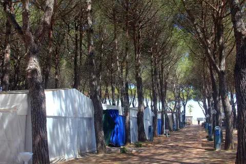 Serenella