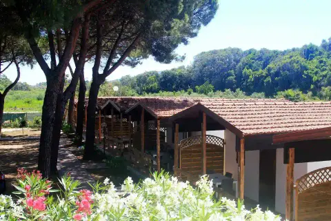 Serenella