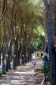 Serenella