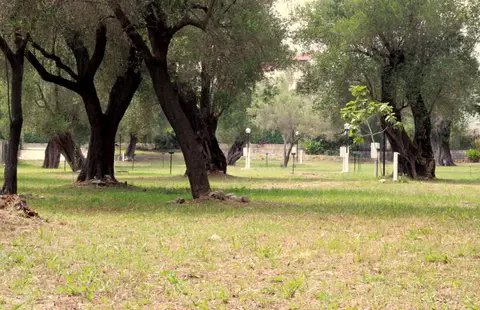 Campeggio Sosta Camper Palorcio